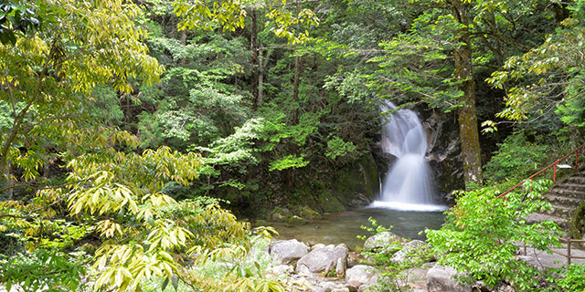 Jakuchi-kyo Gorge