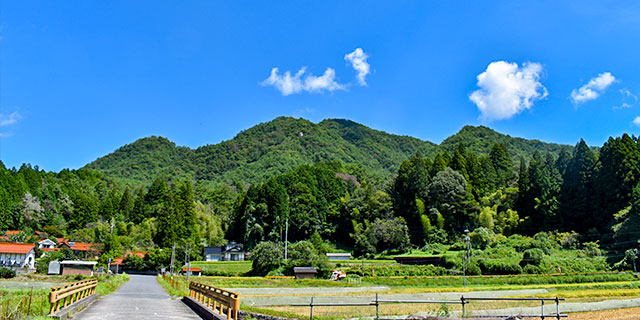 Mt. Nidakiyama
