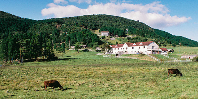 Mt. Rakan